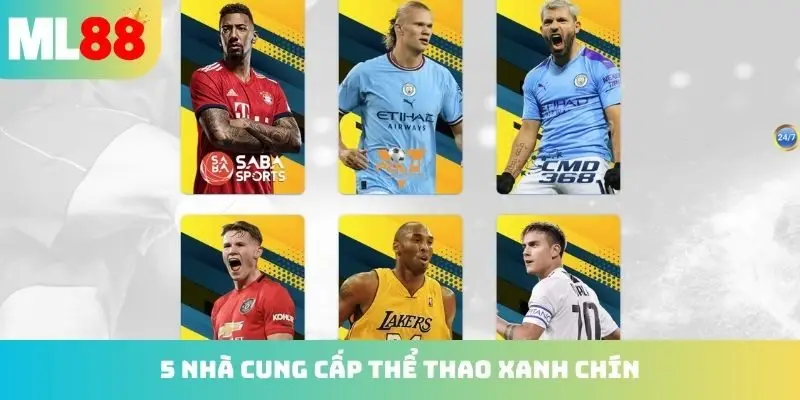 5 nhà cung cấp thể thao xanh chín