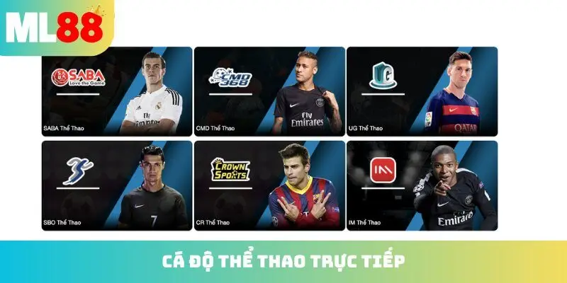 Cá độ thể thao trực tiếp