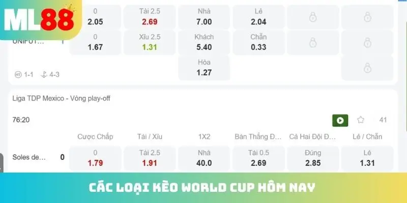Các loại kèo World Cup hôm nay