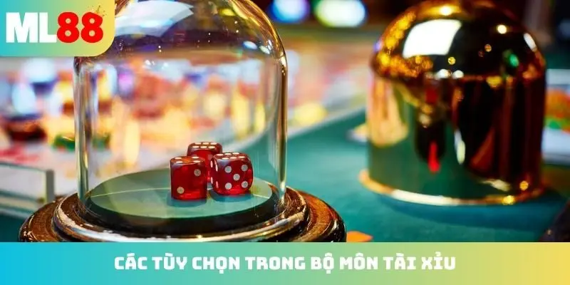 Các tùy chọn trong bộ môn Tài xỉu