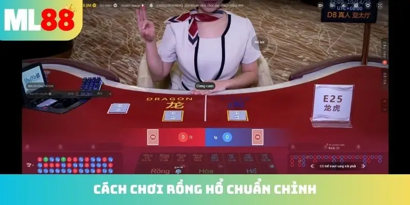Cách chơi Rồng Hổ chuẩn không cần chỉnh