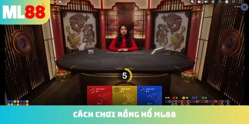 cách chơi Rồng Hổ