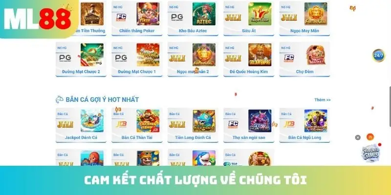 Cam kết chất lượng về chúng tôi