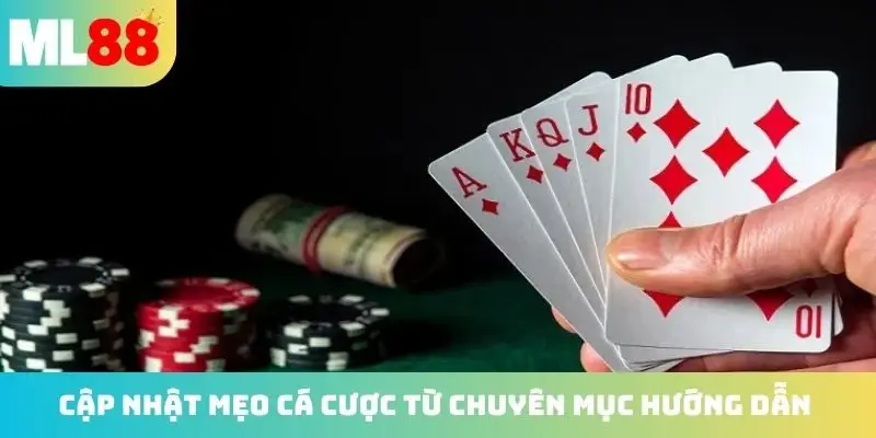 Cập nhật mẹo cá cược từ chuyên mục hướng dẫn