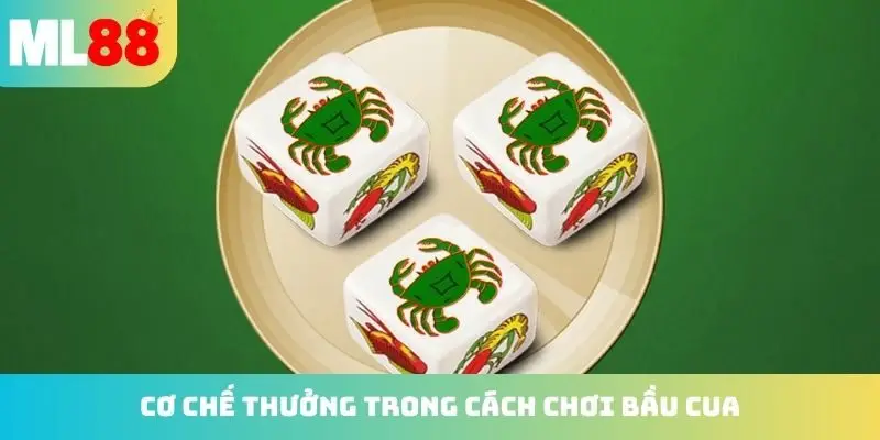 Cơ chế thưởng trong cách chơi Bầu Cua
