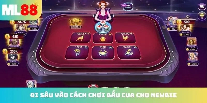 Đi sâu vào cách chơi Bầu Cua cho newbie