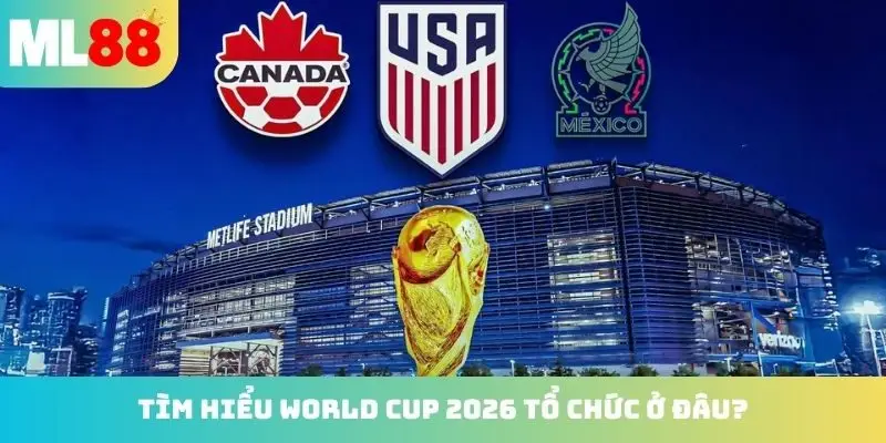 Giải bóng đá world cup 2026 tổ chức ở đâu? Đặc điểm