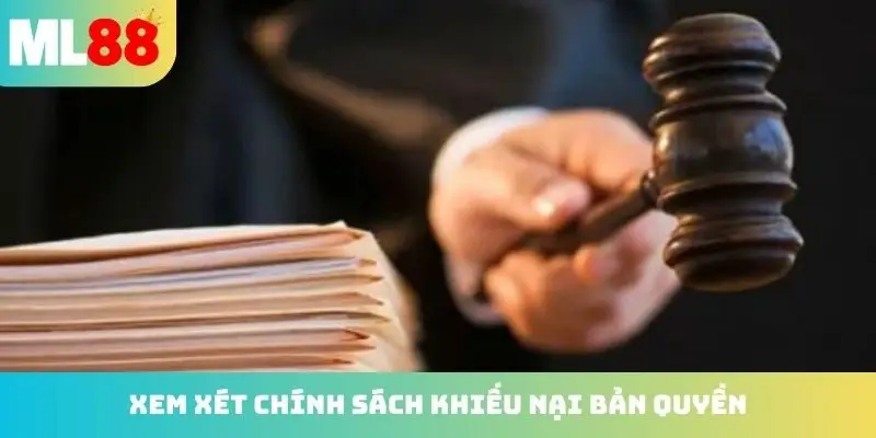 Xem xét và chú ý mọi chính sách khiếu nại bản quyền